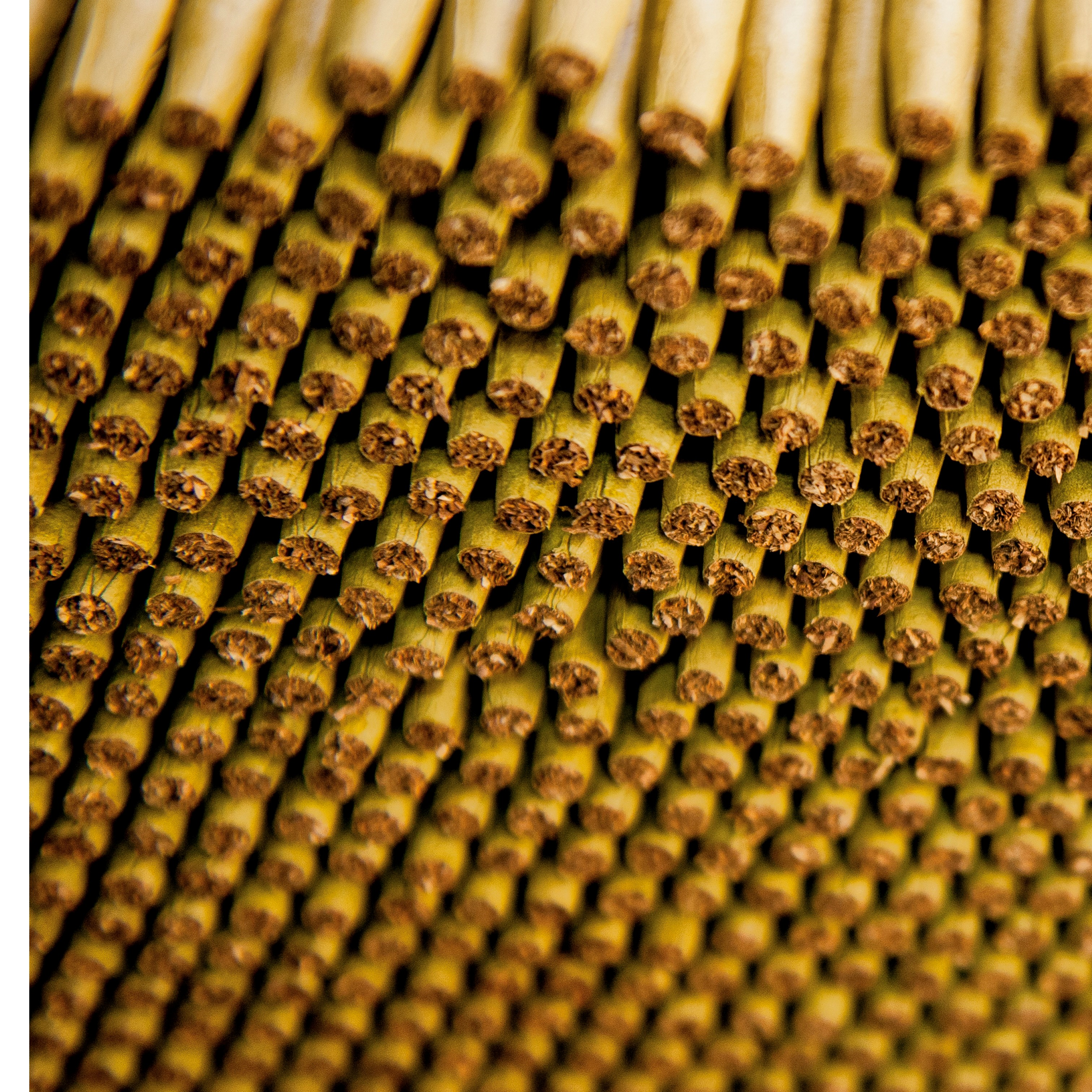 Image of cigars