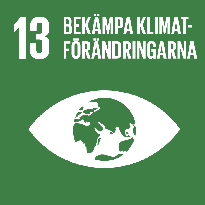 Ikon mål 13 - Globala målen för hållbar utveckling