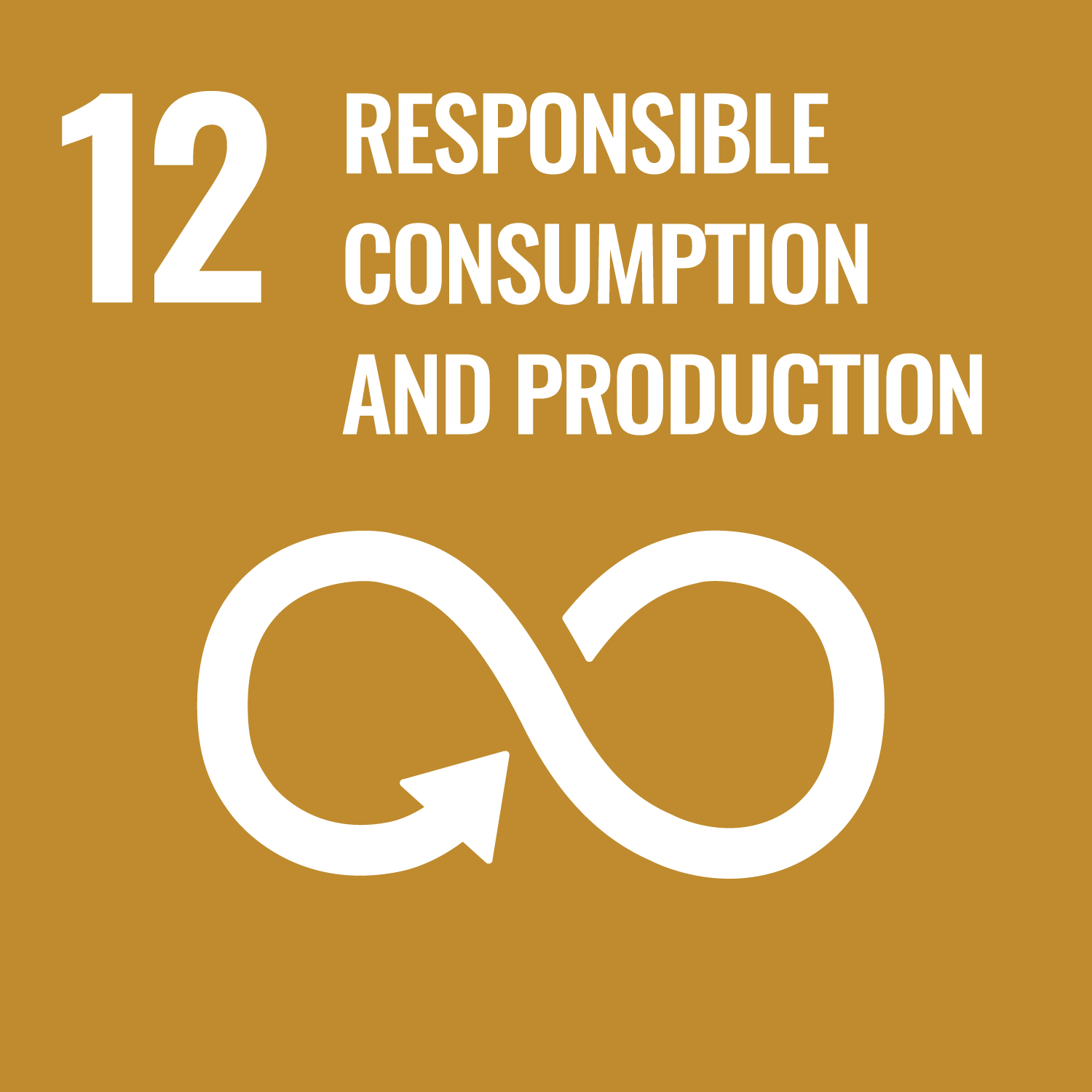 Icon goal 12 - Sustainable Development Goals