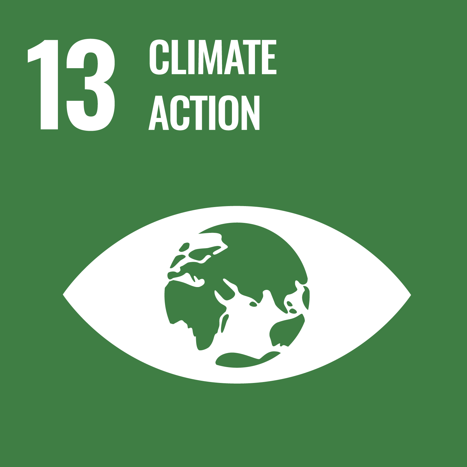 Icon goal 13 - Sustainable Development Goals