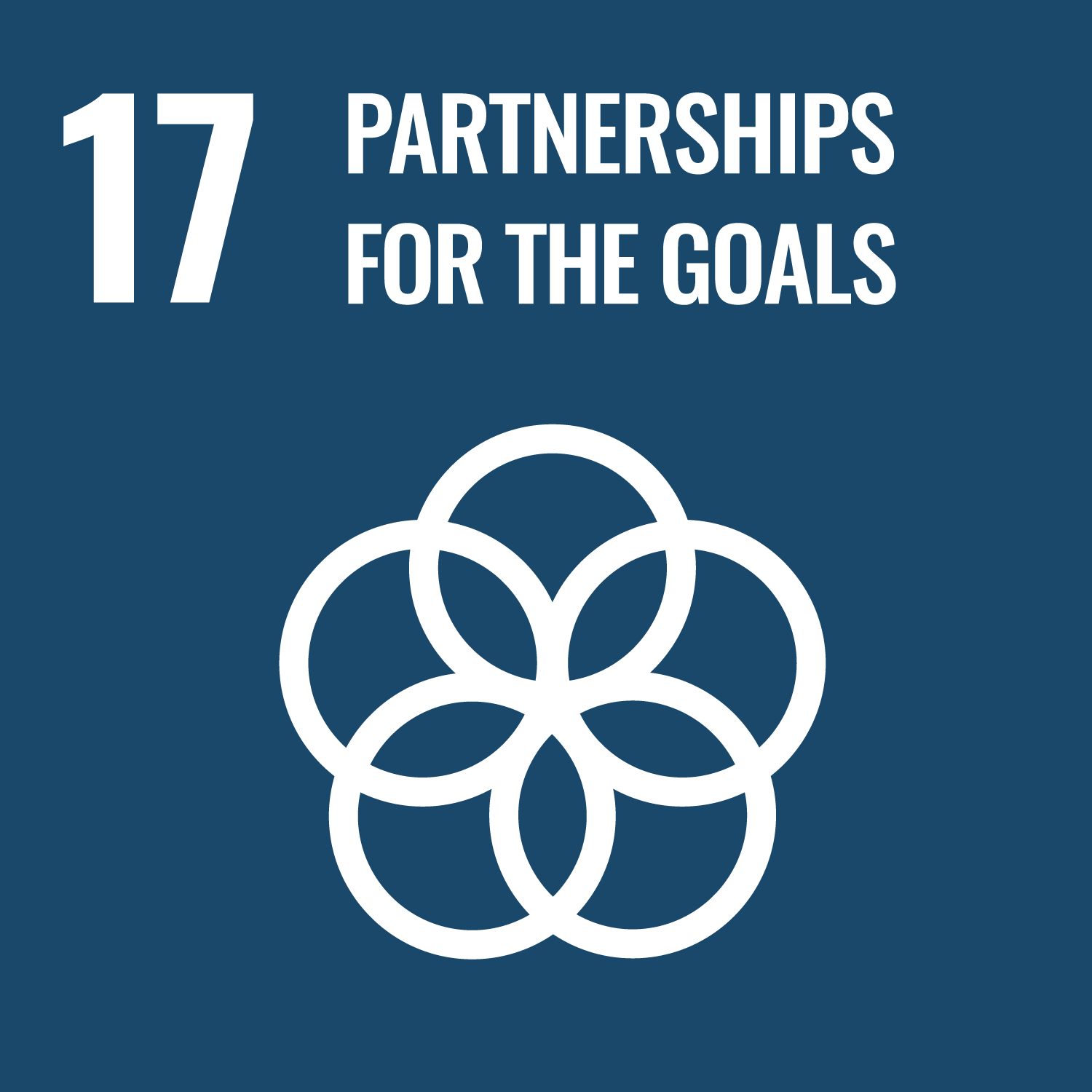 Icon goal 17 - Sustainable Development Goals